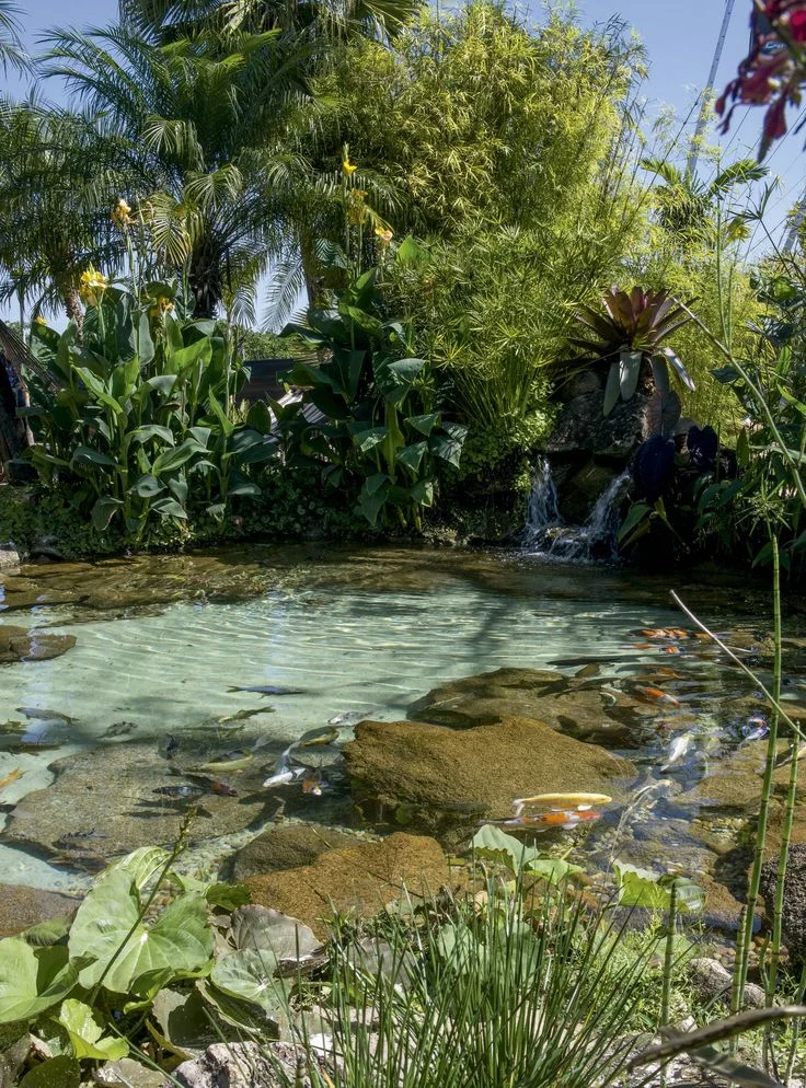 Mergulhe de cabeça: todas as vantagens de uma piscina, mas sem uma gota de cloro. As buscas por piscinas naturais tiveram um aumento de 262% Mergulhe de cabeça: todas as vantagens de uma piscina, mas sem uma gota de cloro. As buscas por piscinas naturais tiveram um aumento de 262%