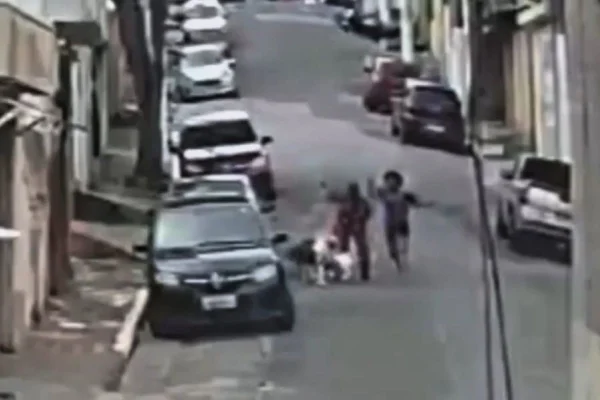 Imagem colorida de rua com carros e pessoas ao fundo durante ataque de pitbull a cão e pedestres - Metrópoles