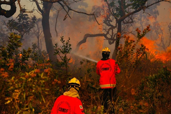 Depois de controlar chamas, bombeiros trabalham para determinar causas dos incêndios