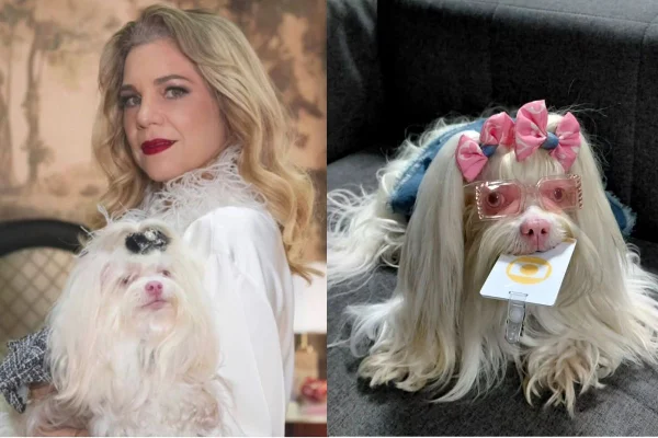 Montagem com fotos coloridas da cadela Meg