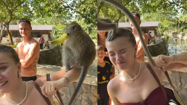 Montagem de influencer alemã com macaco antes de ser atacada