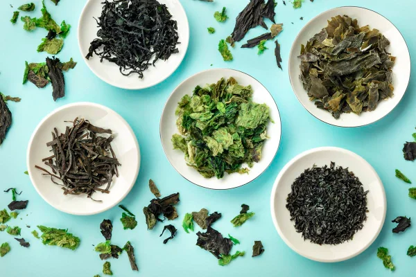 Nutricionista aponta qual alimento tem uma “bomba” de nutrientes