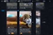 Uma imagem de um macaco vestido foi enviada no grupo 