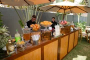 Open bar 