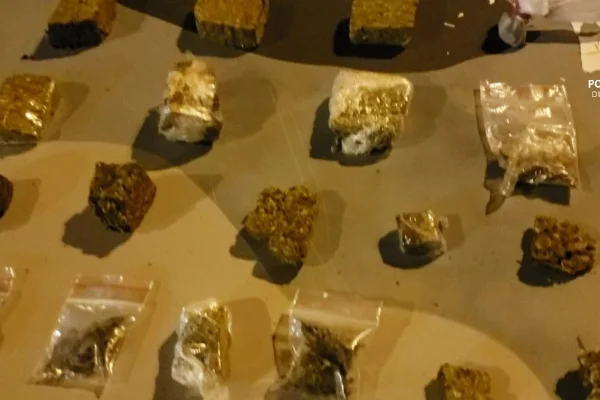 Vídeo: cães da PM encontram porções de maconha em árvore no DF