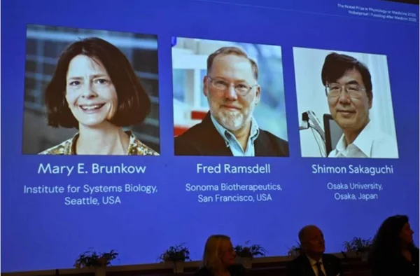 Nobel de Medicina premia pesquisa sobre sistema imunológico