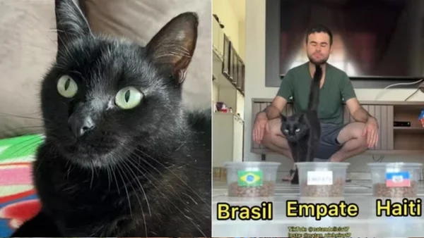 GATO VIDENTE COPA DO MUNDO 2026