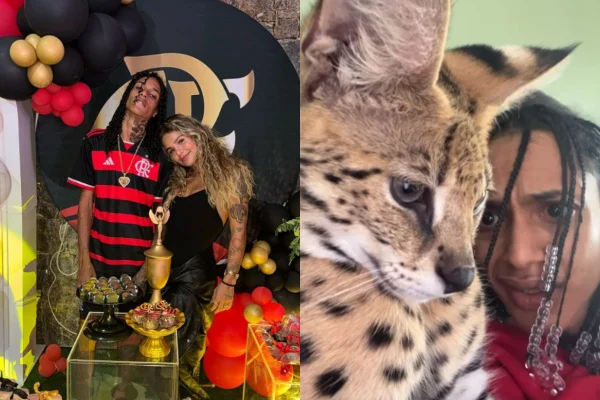 Foto colorida de um gato - Metrópoles