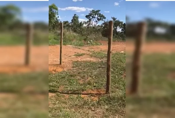 Cercamento ilegal em parque do DF
