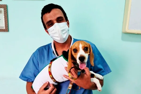 Veterinário Lucas Berger, investigado por maus-tratos de animais e estelionato - Metrópoles