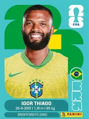 Fotos: com Endrick e Neymar, veja figurinhas atualizadas do álbum da Copa - imagem 3 Fotos: com Endrick e Neymar, veja figurinhas atualizadas do álbum da Copa - imagem 3