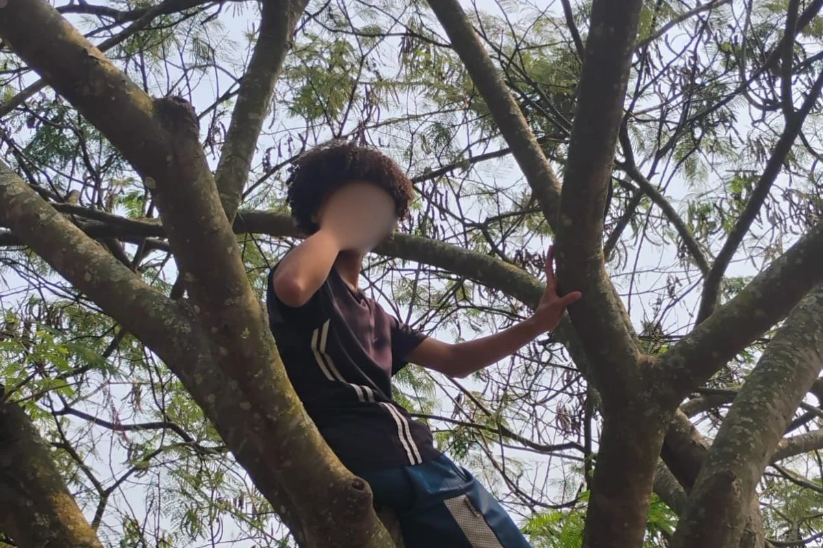 O adolescente J., de 17 anos, passou 15 dias internado injustamente na Fundação Casa apenas com base na descrição do cabelo O adolescente J., de 17 anos, passou 15 dias internado injustamente na Fundação Casa apenas com base na descrição do cabelo