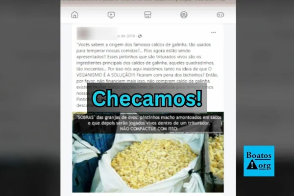 Imagem de captura de tela com tarja escrita "checamos" - Metrópoles
