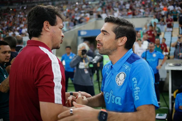 Palmeiras é um líder que sabe sofrer e ainda não perdeu fora de casa