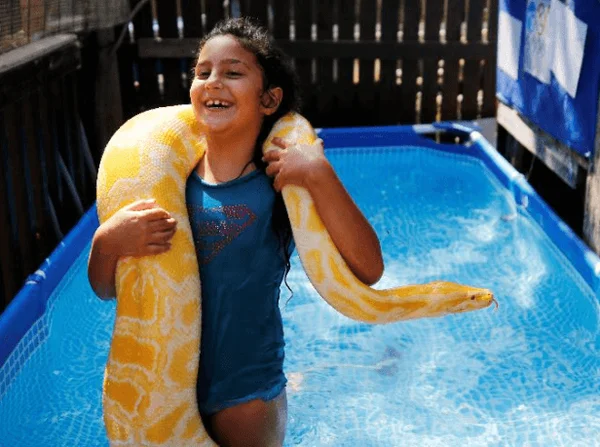 Vídeo: Menina de 8 anos se diverte com cobra de 3,3 metros em piscina