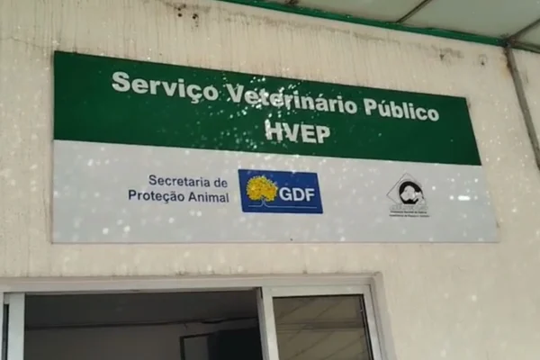 Revoltada, mulher denuncia caos em Hospital Veterinário: “Descaso”