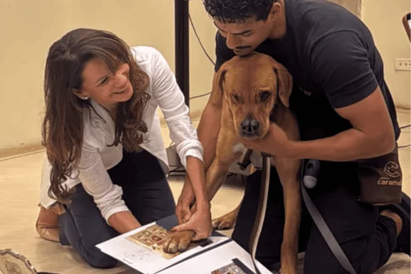 Mixirica sofria rejeição nas ruas pela sua aparência e foi escolhido entre animais de outras ONGs para representar o vira-lata caramelo