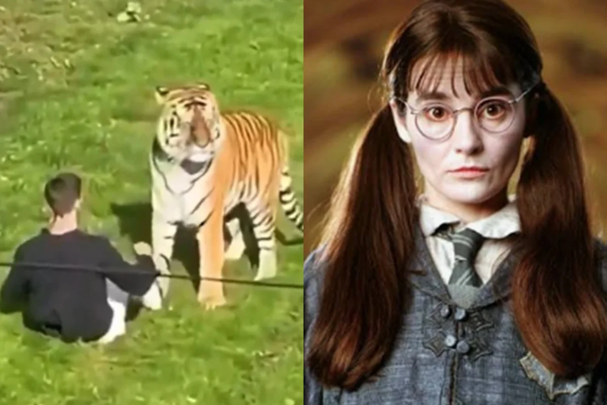William fez filme com Shirley Henderson William fez filme com Shirley Henderson