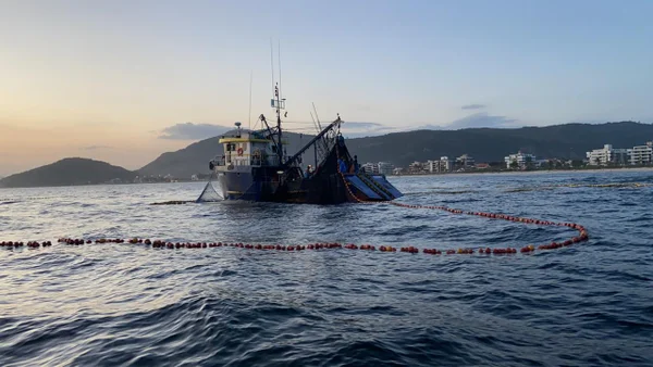 Polícia prende 13 pessoas por pesca ilegal em Niterói, Rio de Janeiro