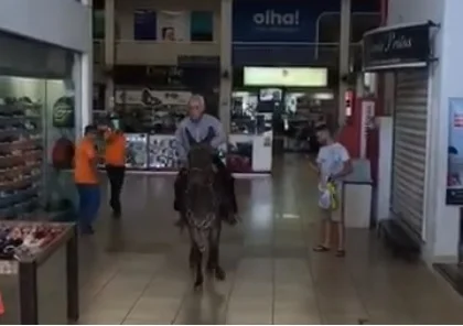 goias homem andando de burro em shopping