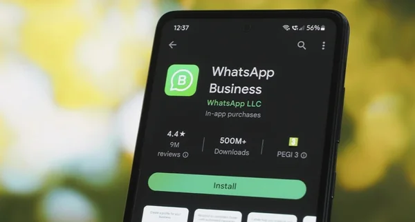 Cade apura atuação do WhatsApp por termos que afetam uso de IA