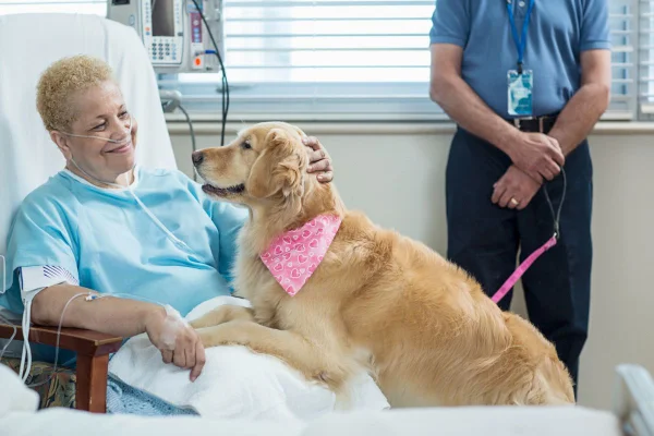 mulher idosa com pet no hospital