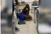 Adolescentes brigaram dentro de sala de aula