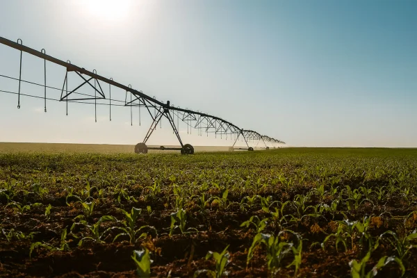 Fugini une terra, tradição e tecnologia para alimentar o Brasil