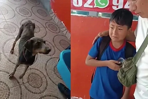 Montagem colorida com prints de vídeo do menino que salvou cadela