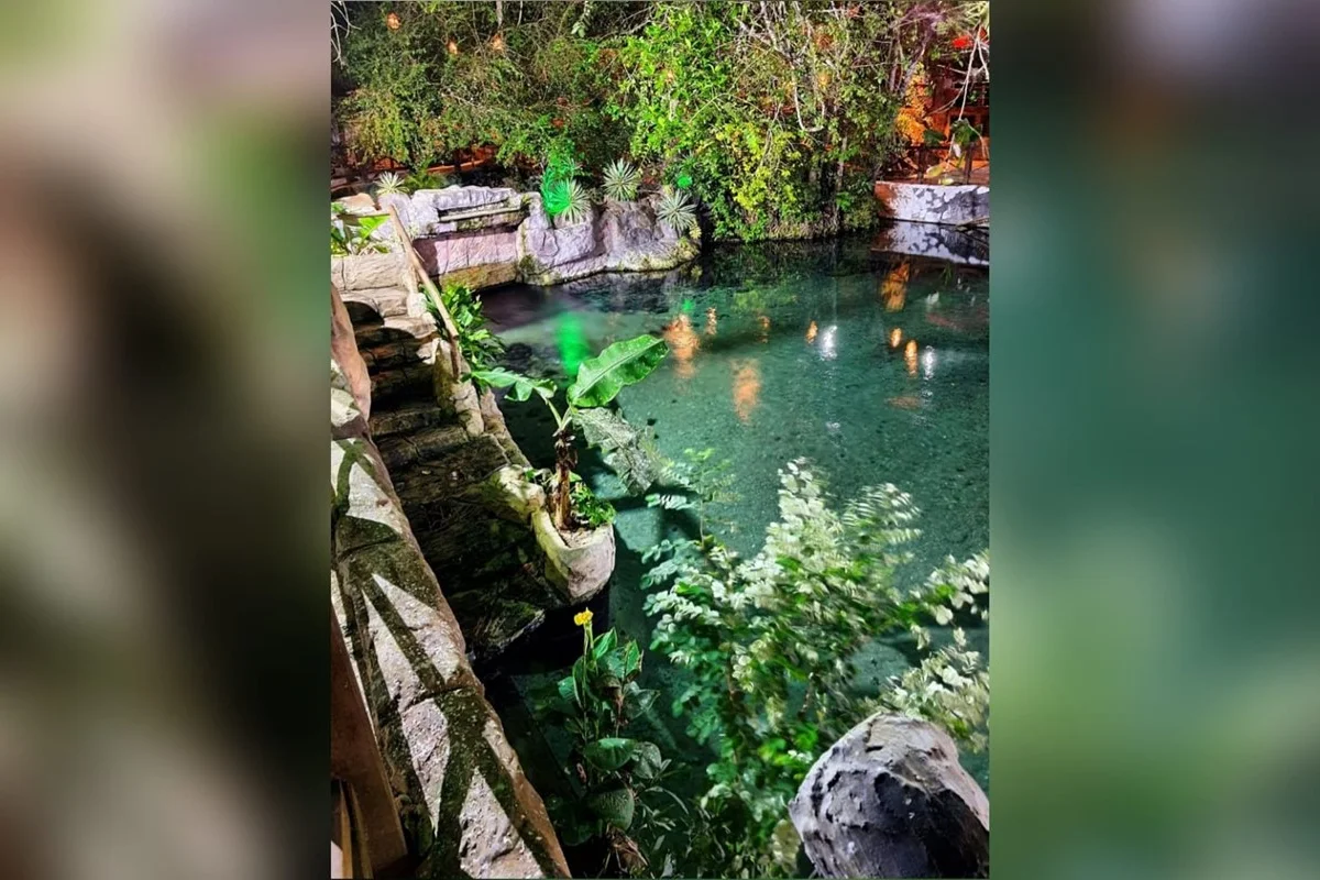 RN: famoso ponto turístico é fechado após 'visita' de jacaré-coroa