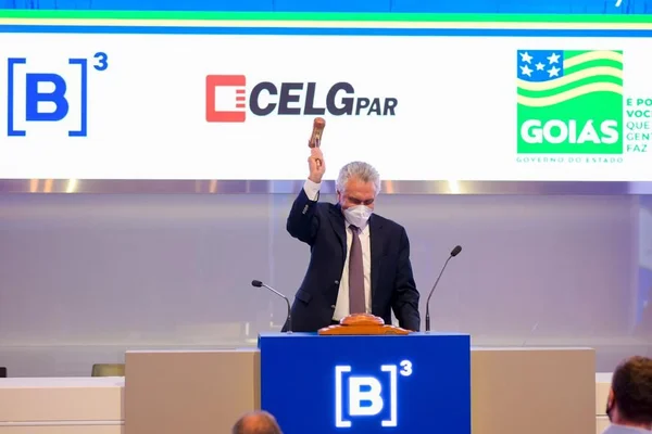 Leilao Celg Goias Caiado