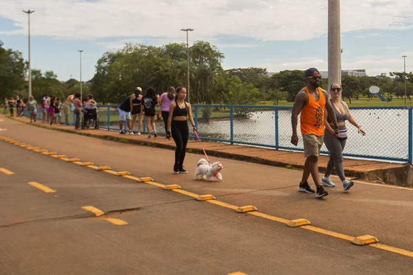 Parque da Cidade recebe feira de adoção de cães e gatos neste domingo