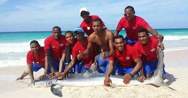 Tubarão morre após ser capturado para tirar selfies com turistas