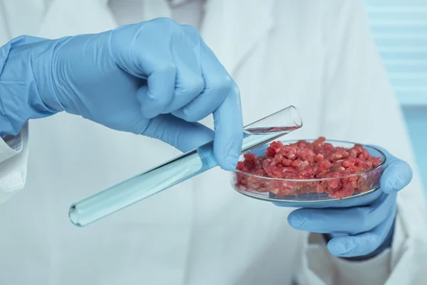 Imagem de carne de laboratório - Metrópoles