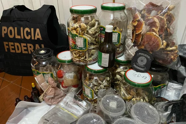 PF fecha cerco contra traficantes de cogumelos alucinógenos no país
