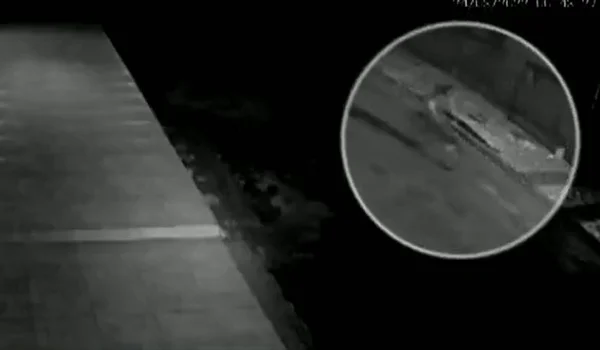 Vídeo mostra jovem após matar professora em Inhumas, Goiás, diz PM