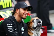 Roscoe foi adotado pelo piloto em 2013 Roscoe foi adotado pelo piloto em 2013