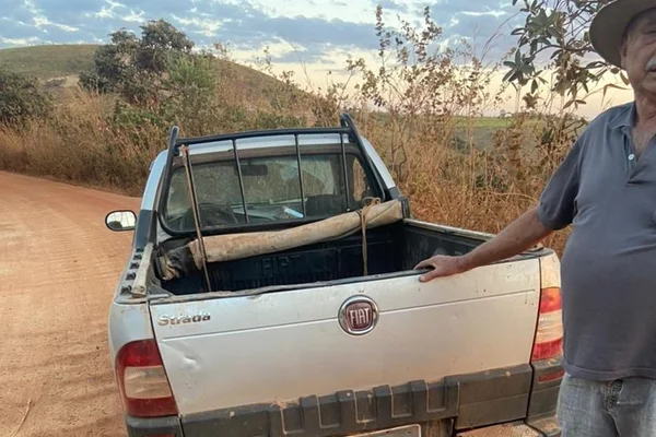 Carro de Elmi