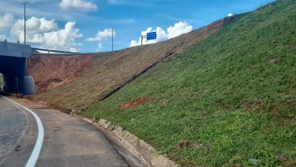 Viaduto EPDB