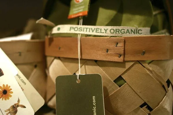 Greenwashing: como marcas criam uma falsa imagem sustentável para si