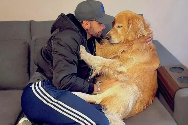 Caso Joca: Justiça arquiva inquérito que investigava a morte do cão