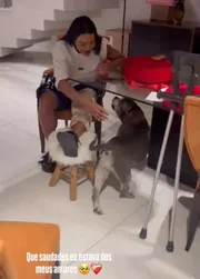 Gracyanne Barbosa foi recepcionada pelos seus cachorrinhos