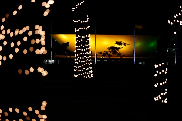 Luzes de Natal em árvores à noite