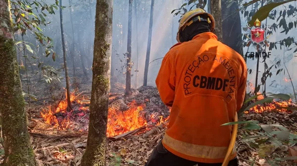 Imagem colorida de bombeiros atuando em uma área com queimadas - Metrópoles
