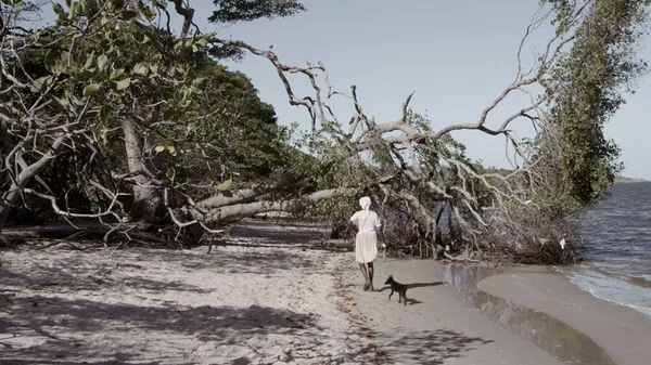 Green Film Festival reúne filmes ambientais no Fórum Mundial da Água