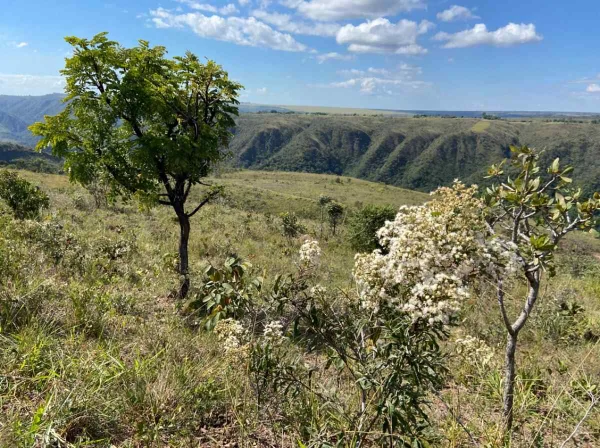 Fazenda Roncador tem uma das vistas mais bonitas do Distrito Federal