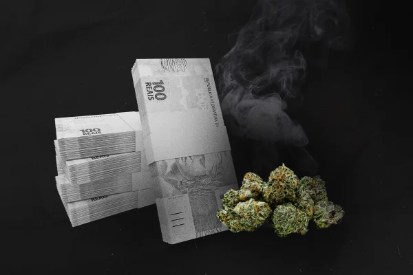 Imagem em preto e branco de três maços de dinheiro, ao lado de porções de maconha seca, in natura - Metrópoles