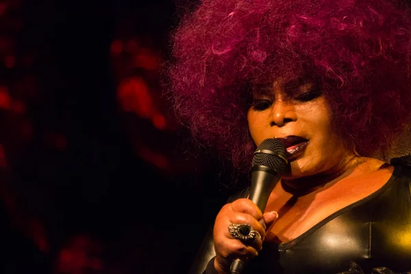 Veja onde assistir e como será a live com show de Elza Soares