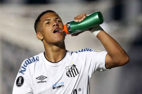 Ângelo acredita em recuperação do Santos, mas admite “clima horrível”