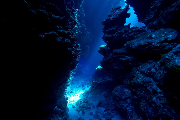 Imagem mostra caverna entre corais no fundo do mar - Metrópoles